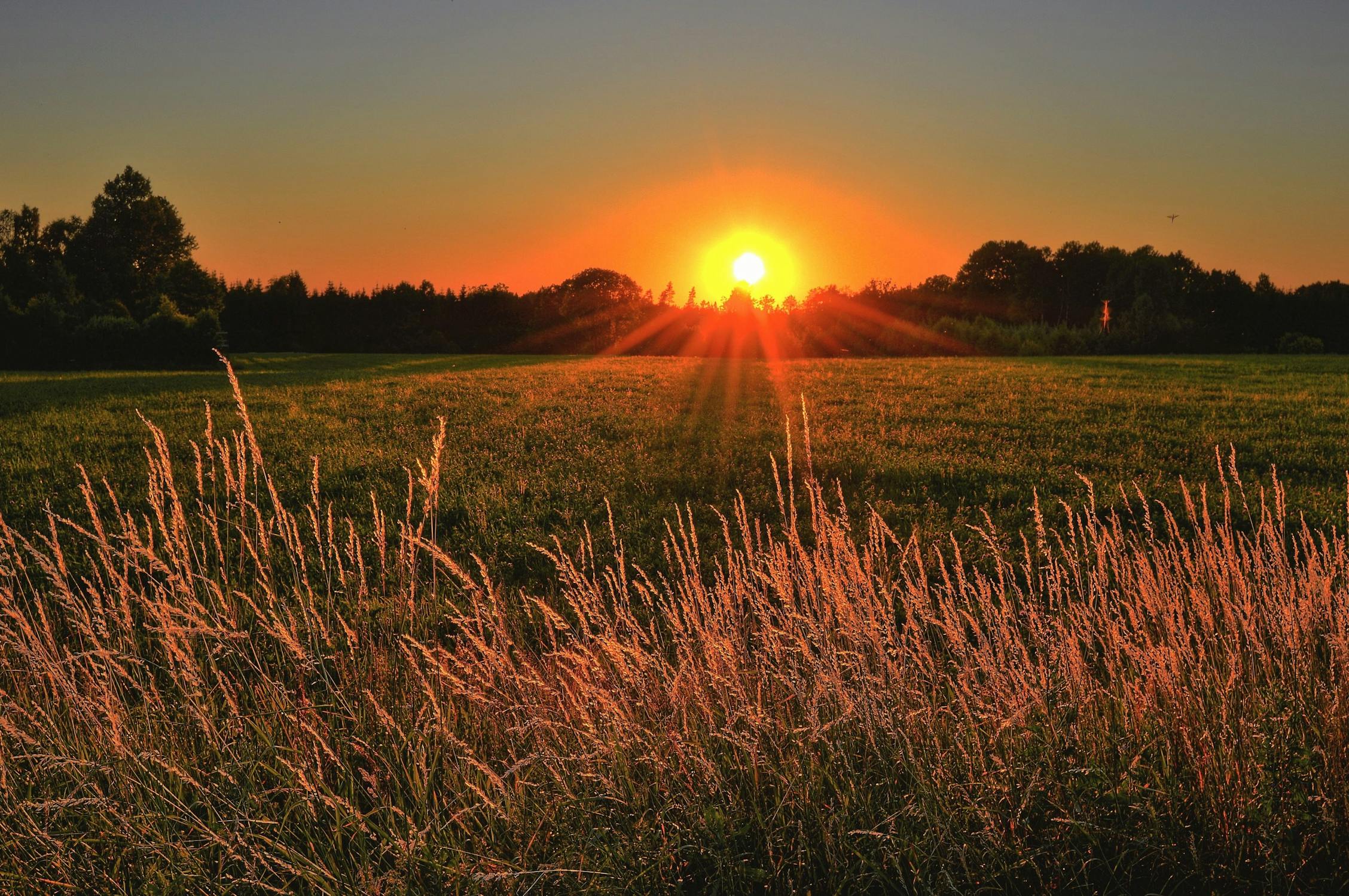 Sunrise over the fields